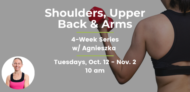 Shoulders-Upper Back-Arms-Series